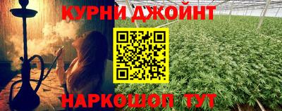 крисы Дубна