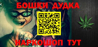 крисы Дубна