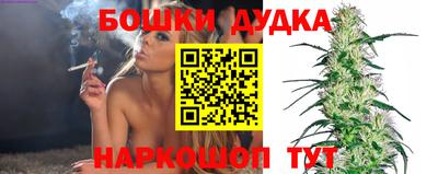 крисы Дубна