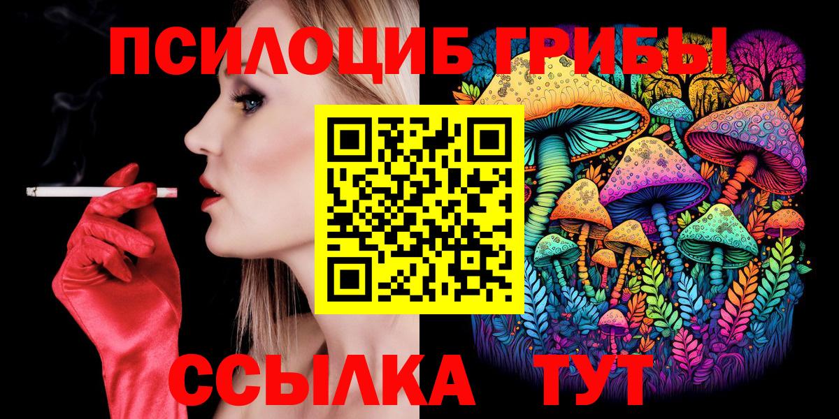 Галлюциногенные грибы прущие грибы  наркотики  Киржач  Вход с VPN 