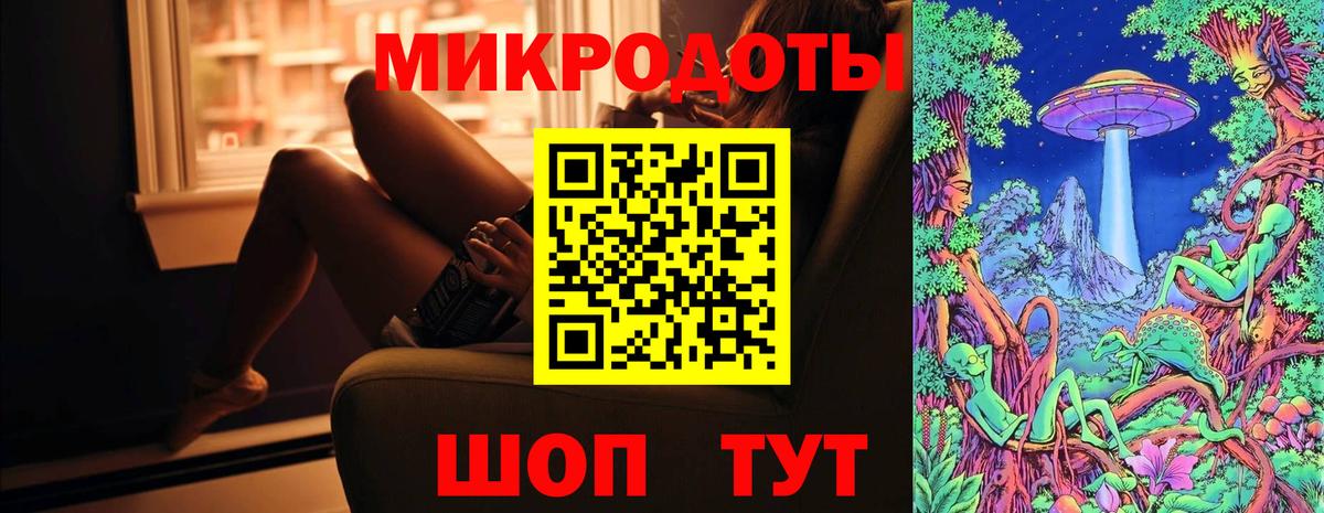 Псилоцибиновые грибы Psilocybine cubensis Киржач